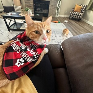 Frankie & Charlie’s Crew